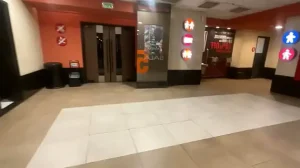 fui expulsa do cinema pois estava chupando meu amigo 1733438714